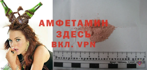 индика Кулебаки