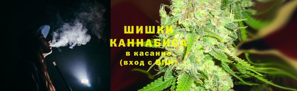тгк Кукмор