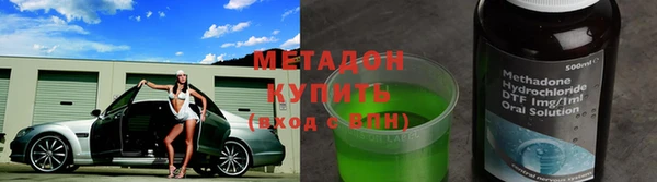 шишки Корсаков