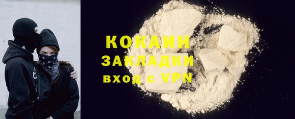 индика Кулебаки