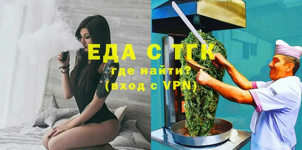 индика Кулебаки