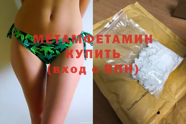 индика Кулебаки