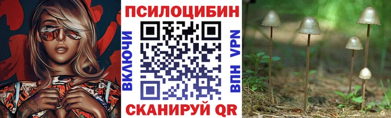 мега ONION  Называевск  Псилоцибиновые грибы мухоморы  цена наркотик 